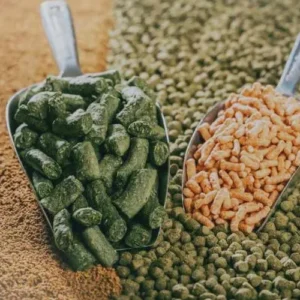 Aliment composé pour bétail